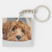 愛犬用アクリルキーチェーン キーホルダー (裏面)