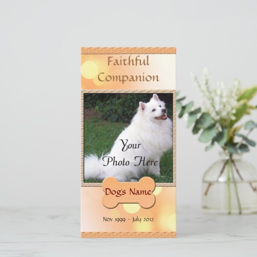 愛犬記念愛好者 案内状 (スタンド正面)