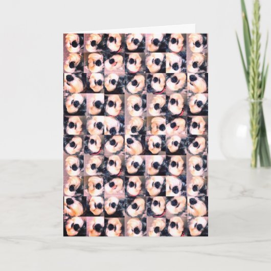 愛犬記念日カード カード (正面)