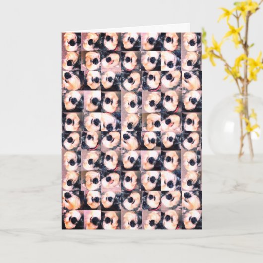 愛犬記念日カード カード (黄色い花)