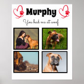 愛犬4写真集カスタマイズ ポスター (正面)