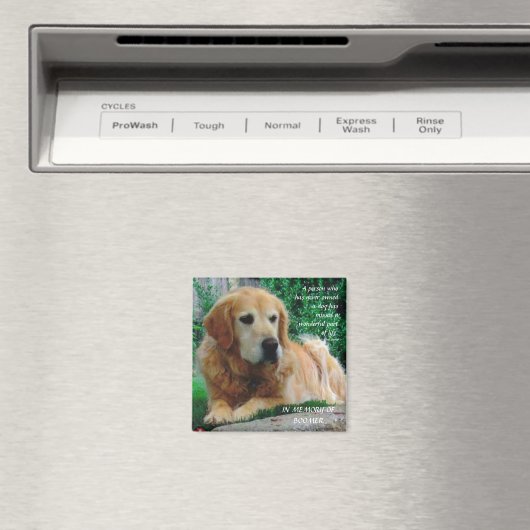 愛犬 マグネット (インサイチュ (食洗機))