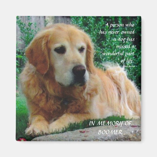 愛犬 マグネット (正面)