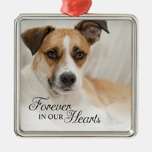 愛犬 永遠に私たちの心の中に フォト メタルオーナメント (正面)