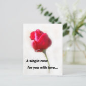 愛独身ののバラ... ポストカード (スタンド正面)