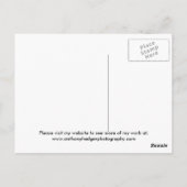 愛独身ののバラ... ポストカード (裏面)