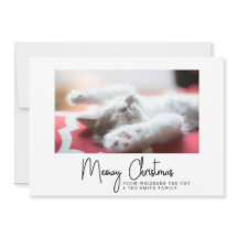 愛猫からのクリスマスの挨拶