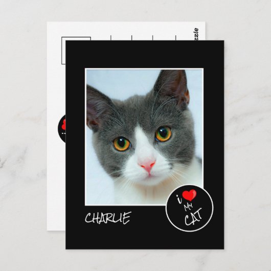 愛猫のカスタム写真 - ペット愛好家 ポストカード (正面/裏面)