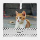 愛猫の写真が飾れるホリデーシーズンの特別な記念品 ガラスオーナメント (裏面)