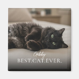 愛猫の名前と写真を入れられるマグネット マグネット