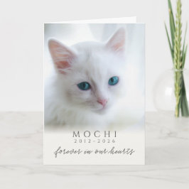愛猫の思い出 クリーム色の背景に手書きのメッセージ 猫のペット喪失ギフト カード