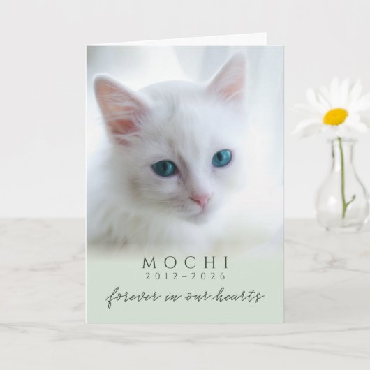 愛猫の思い出 セージグリーンのメモリアル 猫の喪失 カード (小さな植物)