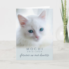 愛猫の思い出 ダスティブルーForever In Our Hearts 猫のメモリアル カード
