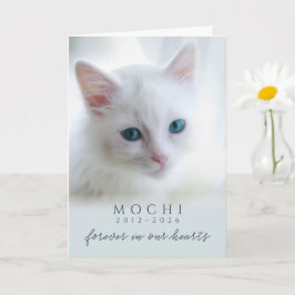 愛猫の思い出 ダスティブルーForever In Our Hearts 猫のメモリアル カード