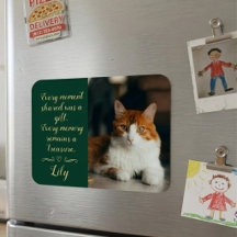 愛猫の思い出 メモリアルフォト 名前入り