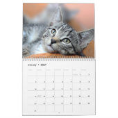 愛猫カスタム写真モダン12ヶ月2026 カレンダー (1月 2027)