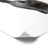 愛猫プリントおもしろい猫Tシャツ4文字 ポスター (角)