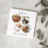 愛猫モダン犬の愛猫の愛犬の写真結婚4 スタンダードカクテルナプキン