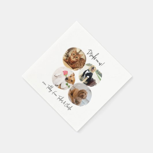 愛猫モダン犬の愛猫の愛犬の写真結婚4 スタンダードカクテルナプキン (角)