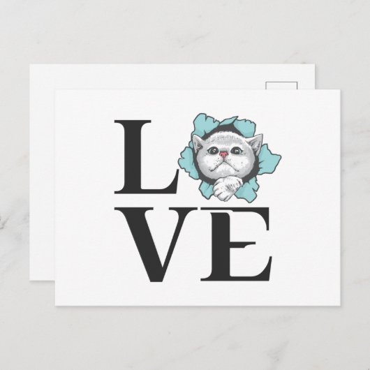 愛猫 ポストカード (正面/裏面)