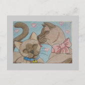 愛猫 ポストカード (正面)