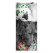 愛玩写真動物気に業のカスタム ラックカード (正面)