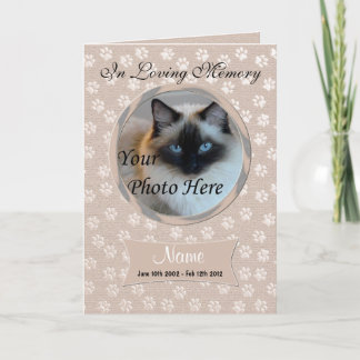 愛玩動物愛玩動物愛玩動物愛護者発表会 案内状