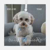 愛玩動物愛玩動物遺失記念の写真と名前 ガラスオーナメント (裏面)