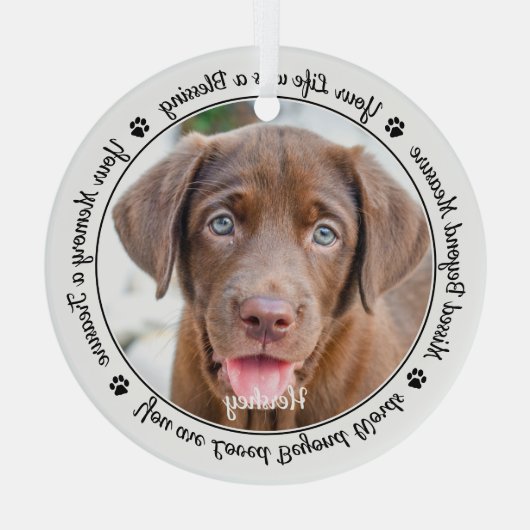 愛玩動物記念モダン犬エレガント写真 ガラスオーナメント (裏面)