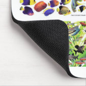 愛玩魚の愛好家ためのマウスパッド,No.01 マウスパッド (コーナー)