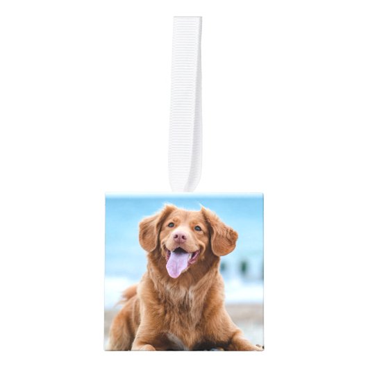 愛素朴心の記憶ペットロスPetメモリアル4写真 キューブオーナメント (正面)