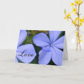 愛結婚式のお祝い カード (黄色い花)