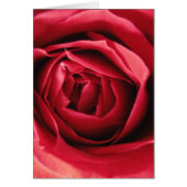 愛結婚式 (正面)