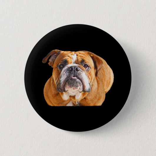 愛英国のブルドッグ犬の顔-ブラウンのマスコット 缶バッジ (正面)