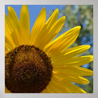 愛表現ひまわりポスター ポスター