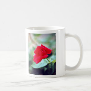 愛詩および赤いバラの芽 コーヒーマグカップ