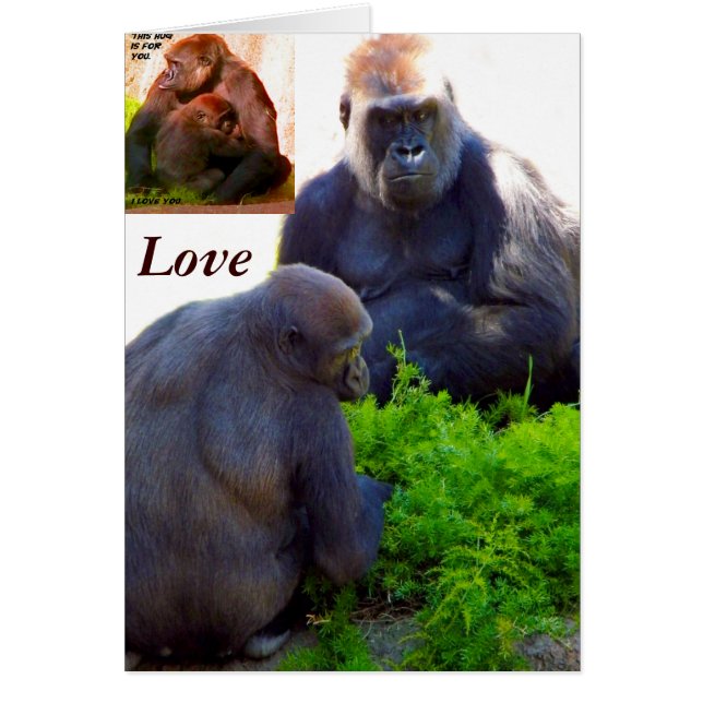 愛護する (正面)