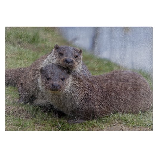 愛長方形のまな板のOtterly カッティングボード (正面)