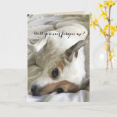 愛頼犬のカードから許しを請う カード (黄色い花)