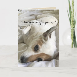 愛頼犬のカードから許しを請う カード
