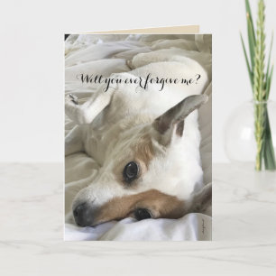 愛頼犬のカードから許しを請う カード