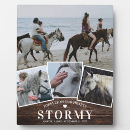 愛馬の思い出4枚の写真の組み合わせと名前の追悼プレート フォトプラーク