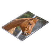 愛馬動物手帳ウマ科の集 ノートブック (左側)