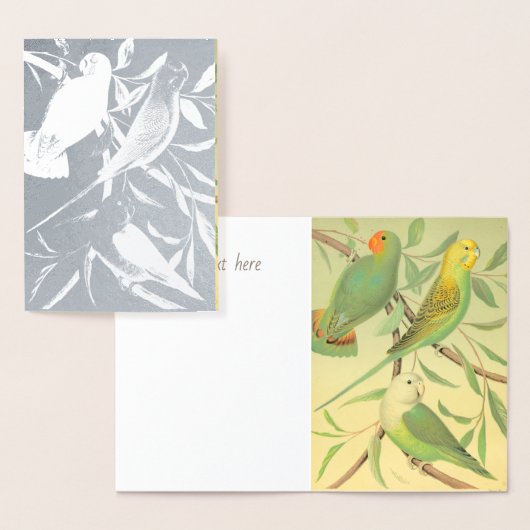 愛鳥およびインコ-銀 箔カード (ディスプレー)
