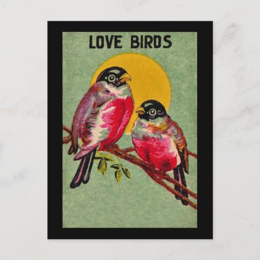 愛鳥はがき ポストカード (正面)