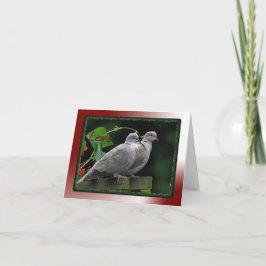 愛鳥カード シーズンカード