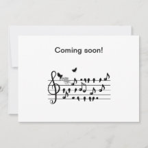 愛鳥，カスタマイズ可能を期待