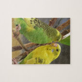 愛鳥 ジグソーパズル (横)