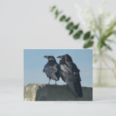 愛鳥 ポストカード (スタンド正面)