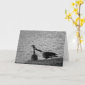 愛鳥B&W カード (黄色い花)